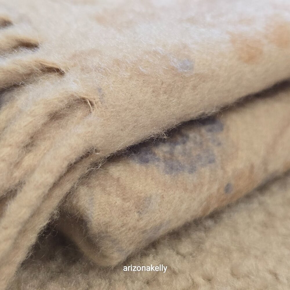 Loro Piana Cashmere Fringed Scarf Reversible Floral to Creme - Picture 16 of 17